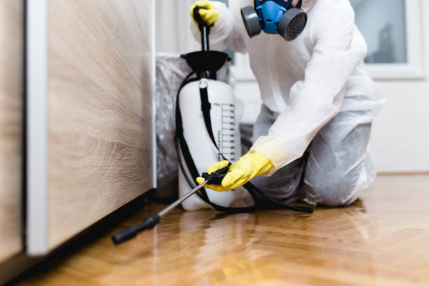 Best Pest Prevention Services  in Lees Summit, MO