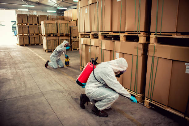 Best Affordable Pest Control Services  in Lees Summit, MO