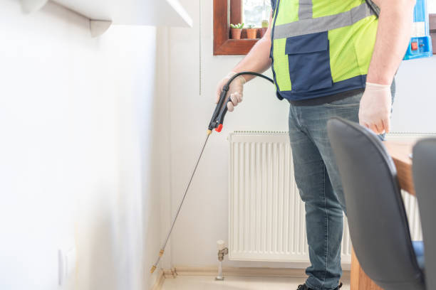 Best Termite Control Services  in Lees Summit, MO